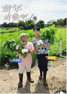 斗罗大陆动漫全集推荐